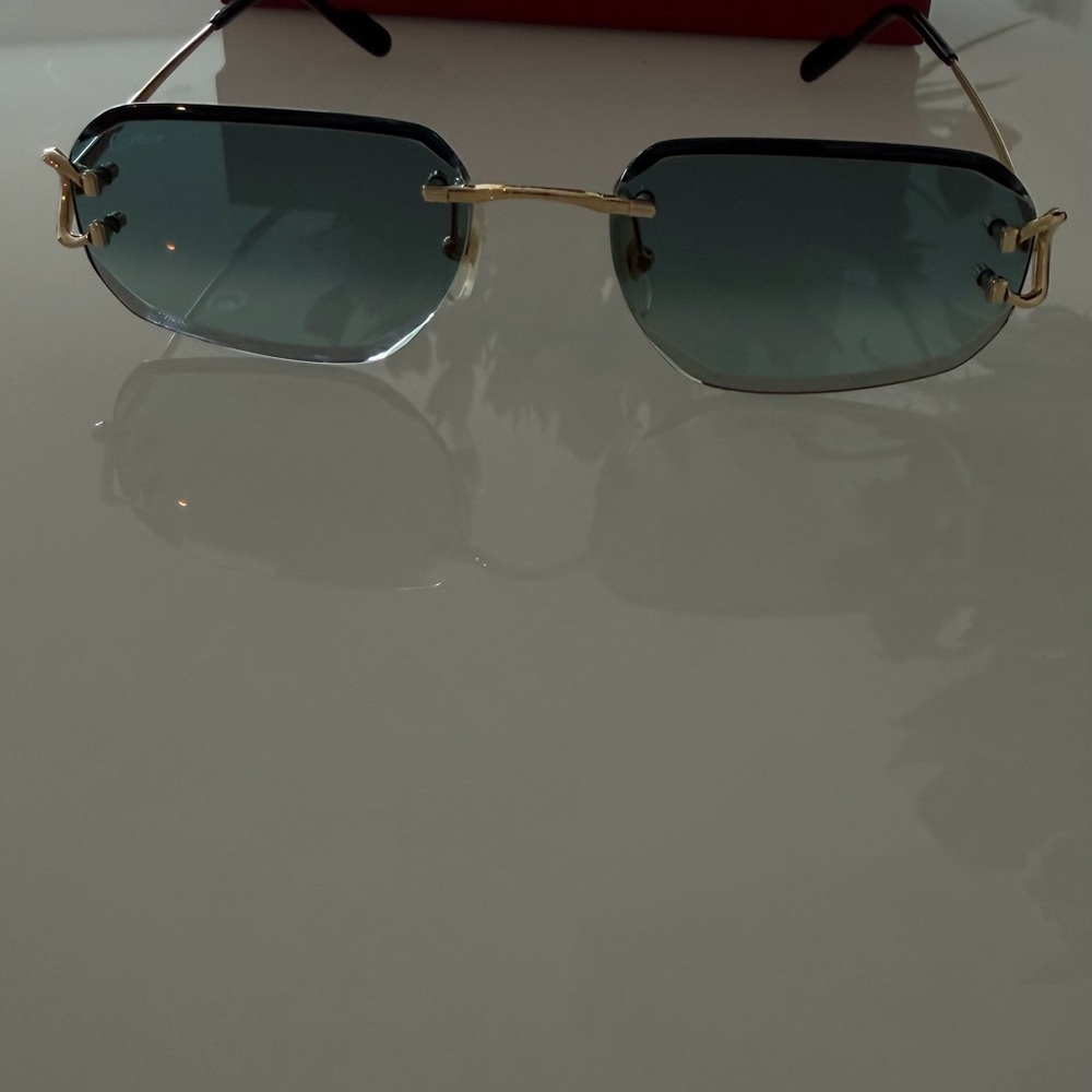 Cartier Blue and Gold Sunglasses - Picture 4 of 15